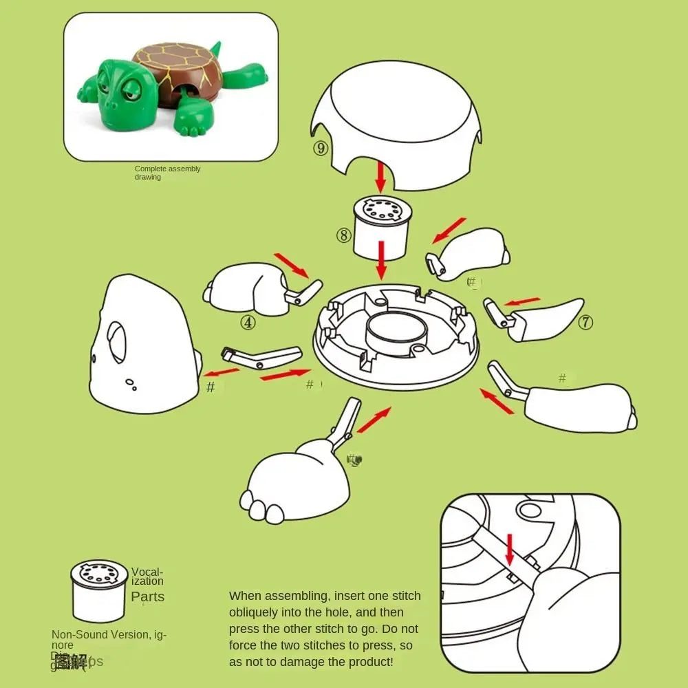 Funny Turtle Coaster